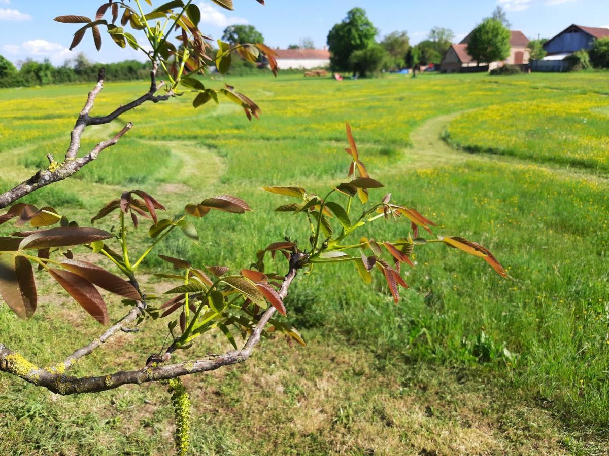 Notre Village Papillon Bed&Breakfast Neret Eksteriør billede