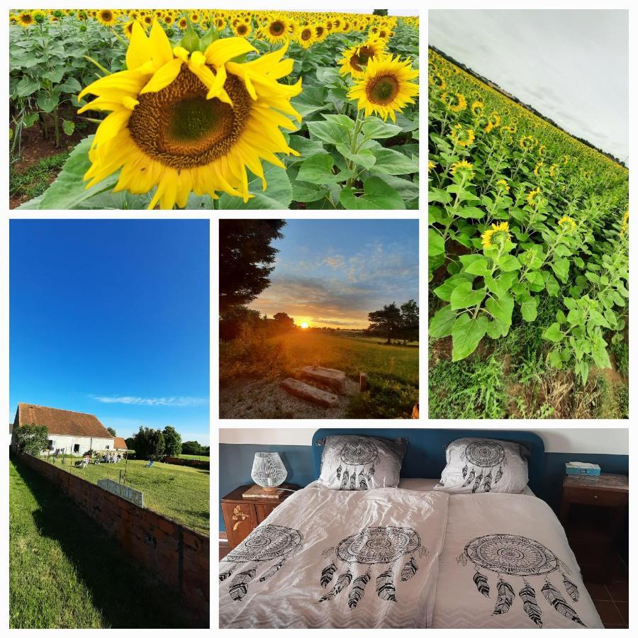 Notre Village Papillon Bed&Breakfast Neret Eksteriør billede